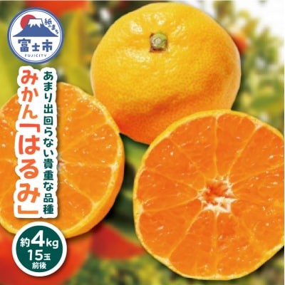 みかん「はるみ」4kg