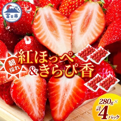 富士市産 いちご 紅ほっぺ きらぴ香 各約280g×2P [sf123-006]