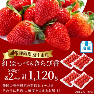 富士市産 いちご 紅ほっぺ きらぴ香 各約280g×2P [sf123-006]