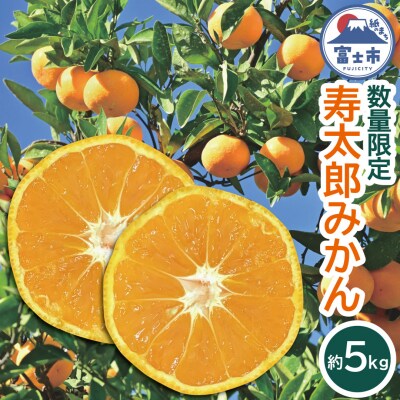 みかん「寿太郎」5kg