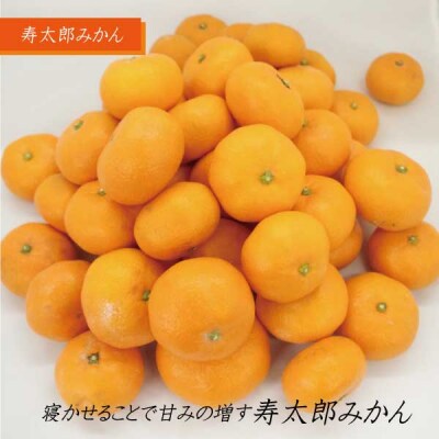 みかん「寿太郎」5kg