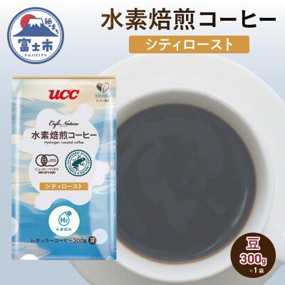 CN 水素焙煎コーヒーシティロースト豆 300g [sf124-001]