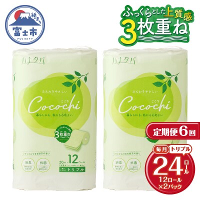 定期便【全6回毎月発送】ハナタバcocochi トイレットペーパー2パック [sf002-509]