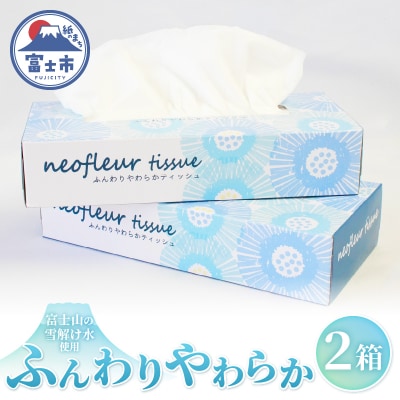 スリムボックスティッシュ 2箱 日用品 消耗品 備蓄 ティッシュペーパー [sf077-163]