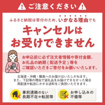 定期便【全12回毎月発送】【極】シリーズ パワフル超消臭 固まる トイレに流せる 紙製猫砂6L×1袋