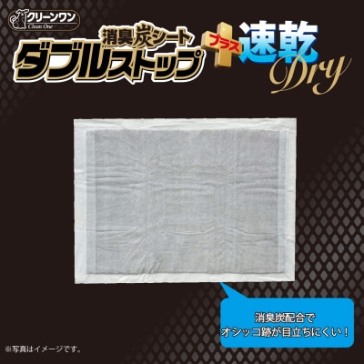 クリーンワン消臭炭シート ダブルストッププラス速乾ドライ レギュラー80枚入り4袋