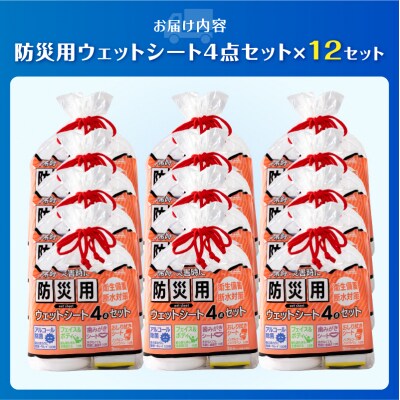 NB防災用ウェットシート4点セット×12セット