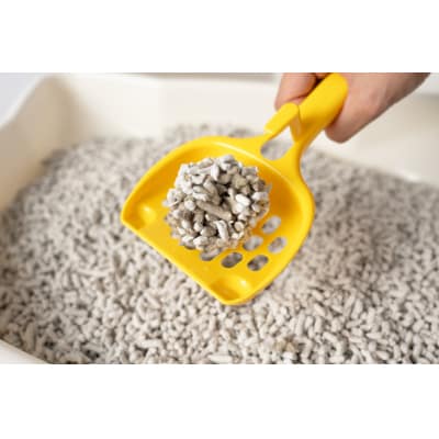 紙製のネコ砂(7L)6袋 茶葉配合 猫砂 [sf002-542]