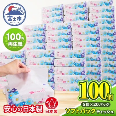 100パック!! ソフトパックティッシュ ソフィアタッチエコ ティッシュペーパー 日用品 大容量 