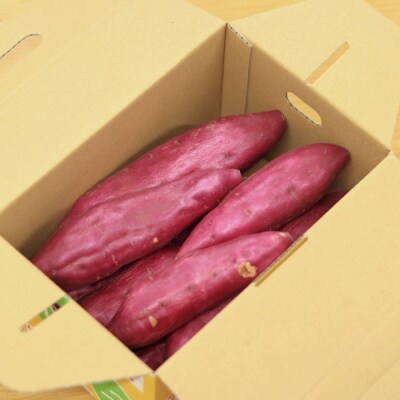 【ほくほく系のトップブランド】農家ソムリエーず なると金時 3kg(化粧箱入り)【BN013】