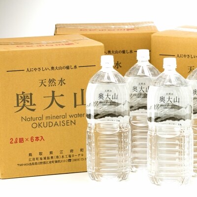 天然水奥大山 2L×24本 ペットボトル みず2リットル ペットボトル 27-j1