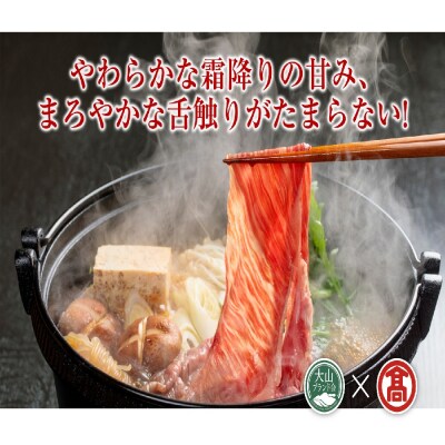 HANAFUSA大山黒牛ローススライス(大山ブランド会)米子高島屋 50-AC8 0255