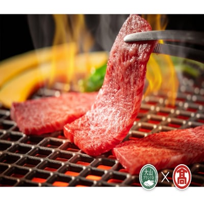 HANAFUSA大山黒牛焼肉セット(大山ブランド会)米子高島屋 170-AC16 0263
