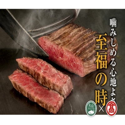 HANAFUSAはなふさプレミアム鳥取和牛特選赤身塊肉(大山ブランド会)米子高島屋 112-AC
