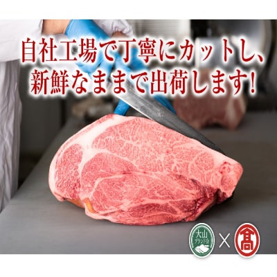 HANAFUSAはなふさプレミアム鳥取和牛特選赤身塊肉(大山ブランド会)米子高島屋 112-AC