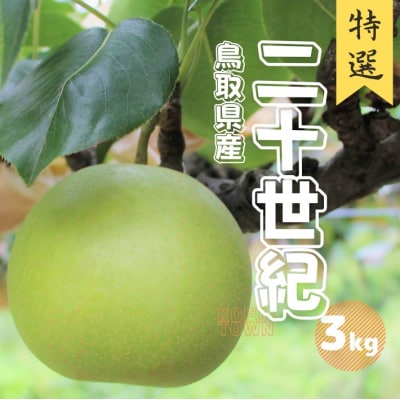 二十世紀梨 特選 約3kg 6~8玉前後 鳥取県 先行受付 2025秋収穫分 TM24 0680