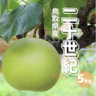 二十世紀梨 秀 約5kg 10～20玉前後 鳥取県産 先行受付 2025秋収穫分 TM23 0679