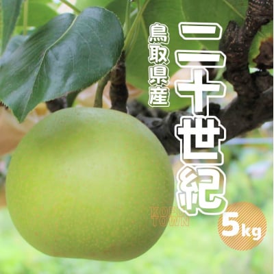 二十世紀梨 秀 約5kg 10～20玉前後 鳥取県産 先行受付 2025秋収穫分 TM23 0679