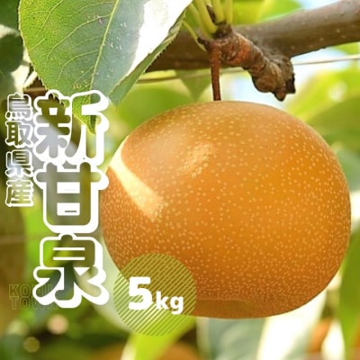 新甘泉 5kg前後 梨 鳥取県産 先行受付 2025年秋収穫分 なし 5キロ TM28 0684