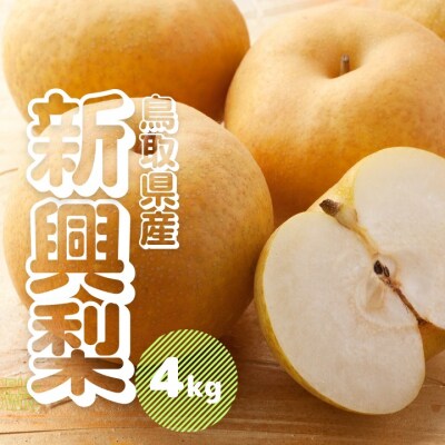 もも商品です♪ ふるさと納税 江府町 大山ハムバラエティ詰合せC(大山ブランド会