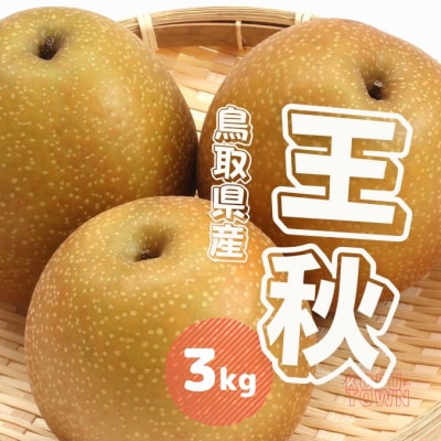 王秋梨 3kg 鳥取県産【先行受付2026年秋冬収穫分】なし 3キロ 0697 TM46