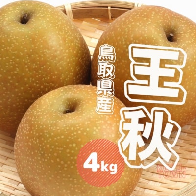 王秋梨 4kg 鳥取県産【先行受付2025年秋冬収穫分】なし 4キロ TM40 0695