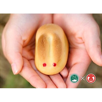 <寿製菓>白うさぎの玉手箱 お菓子詰合せ 因幡の白うさぎ(大山ブランド会)24-DD1 0859