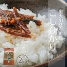 お米 コシヒカリ 2kg 特別栽培米 鳥取県江府町産 こしひかり 産地直送 お試し 2キロ 0930