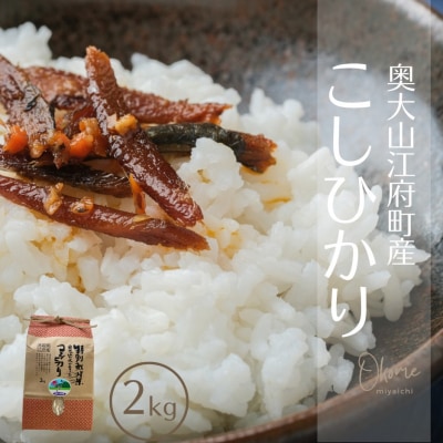 お米 コシヒカリ 2kg 特別栽培米 鳥取県江府町産 こしひかり 産地直送 お試し 2キロ 0930