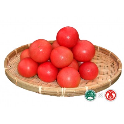 日南町産トマト食べ比べセット 頒布会 定期便全2回 麗夏/桃太郎とまと (大山ブランド会)40-BF