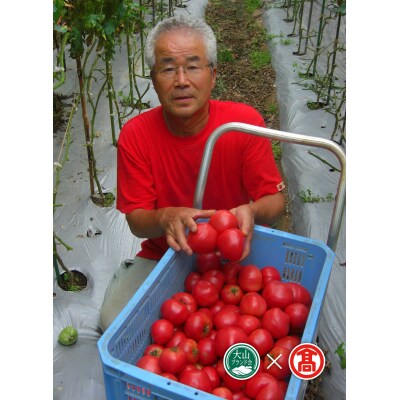日南町産トマト食べ比べセット 頒布会 定期便全2回 麗夏/桃太郎とまと (大山ブランド会)40-BF