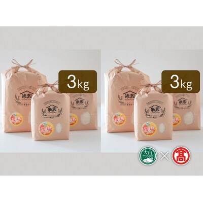 【定期便全4回】五ツ星お米マイスター監修 鳥取県産米4種食べ比べセット 6kg×4ヶ月 50-AN7