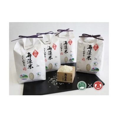 <優栽>海藻米こしひかり(大山ブランド会)お米 コメ 送料無料 2kg×4 米子高島屋 77-BH1