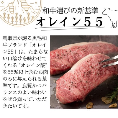鳥取和牛サーロインステーキ2枚 計500g 鳥取県産 ご当地ファーム大山望 MK10 1001