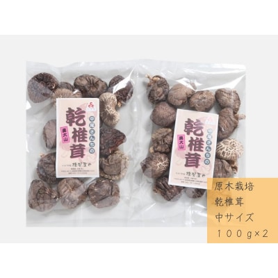 中尾さんちの乾椎茸 中  100g 2袋 原木栽培 干しシイタケ 普通サイズ / 椎茸屋 0798