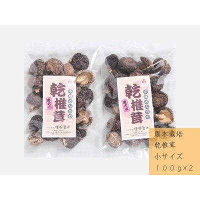 中尾さんちの乾椎茸 小 100g 2袋 原木栽培 干しシイタケ / SAC中尾 椎茸屋 0797