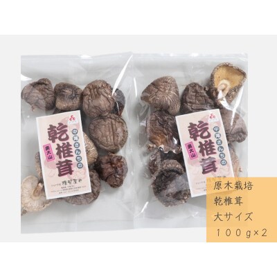 中尾さんちの乾椎茸 大 100g 2袋 原木栽培  干しシイタケ / SAC中尾 椎茸屋 0799