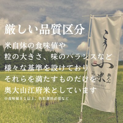 星空舞 3kg 奥大山プレミアム特別栽培米研究会 奥大山江府米 精米 3キロ 0864