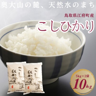 こしひかり 5kg×2 計10キロ 鳥取県江府町産 こめ 精米 コシヒカリ 令和7年産 0909