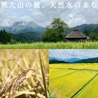 こしひかり 5kg×2 計10キロ 鳥取県江府町産 こめ 精米 コシヒカリ 令和7年産 0909