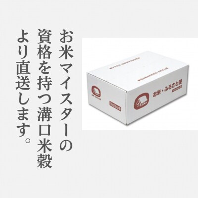 こしひかり 5kg×2 計10キロ 鳥取県江府町産 こめ 精米 コシヒカリ 令和7年産 0909