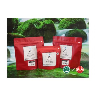 <奥大山の水洗い珈琲> コーヒー(豆)詰合せB ブナの森・グアテマラ 28-CY12 1039