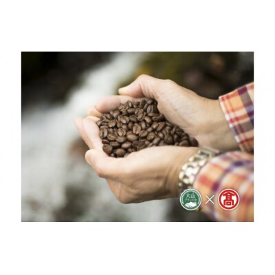 <奥大山の水洗い珈琲> コーヒー(豆)詰合せC ブナの森・マンデリン 33-CY13 1040