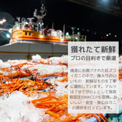 蟹屋の釜茹で紅ずわいがに(大) 1枚 500～600g カニ専門店マルツ 先行受付 M1 1026