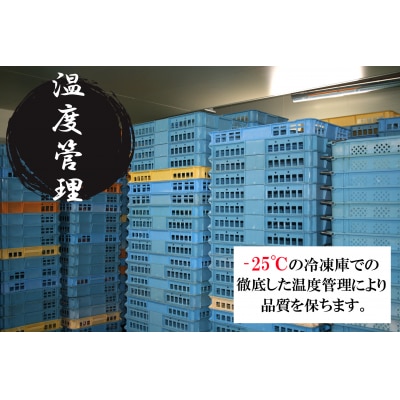生ずわいがに 冷凍カット済み 計2kg 1kg×2箱 大昇食品 かに ズワイガニ 2キロ 1046