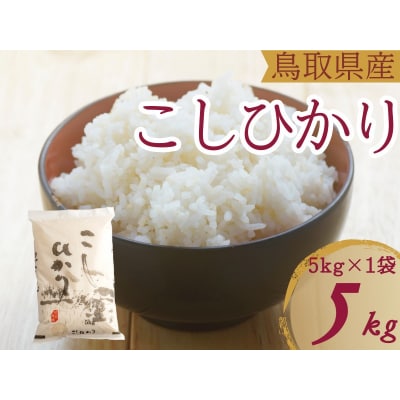 米 こしひかり5kg 鳥取県産 こめ 精米 コシヒカリ 5キロ 令和7年産 送料無料 1052