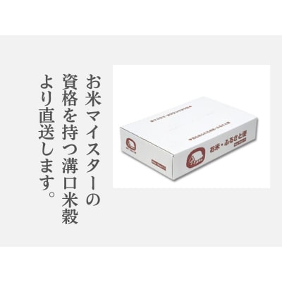 米 こしひかり5kg 鳥取県産 こめ 精米 コシヒカリ 5キロ 令和7年産 送料無料 1052