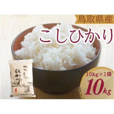米 こしひかり10kg 鳥取県産 精米 コシヒカリ 令和7年産 送料無料 1053