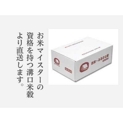 米 こしひかり10kg 鳥取県産 精米 コシヒカリ 令和7年産 送料無料 1053