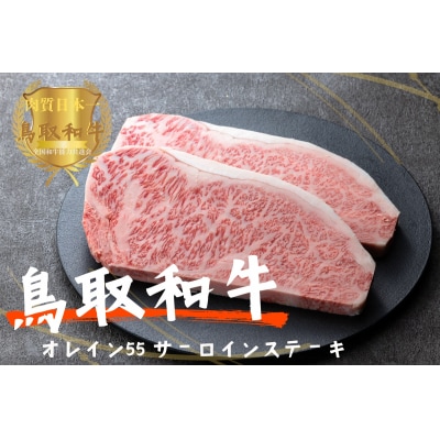 鳥取和牛オレイン55 サーロインステーキ2枚(計500g)牛肉 やまのおかげ屋 KF1288 